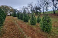 Untitled design - 040826-6